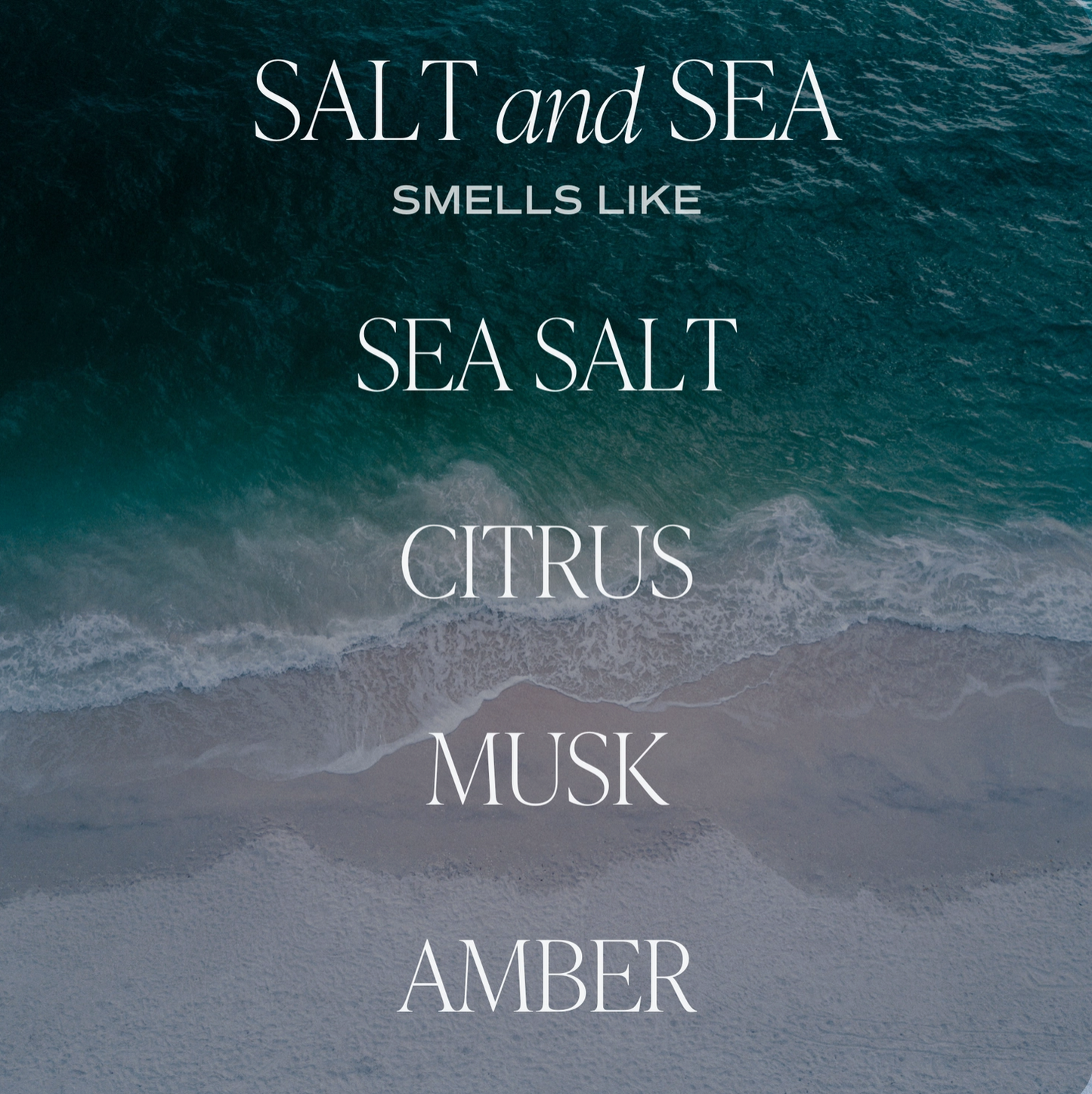 Désodorisant pour voiture - SALT + SEA