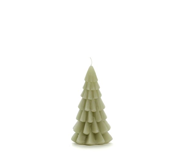 Bougie sapin - Vert eucalyptus