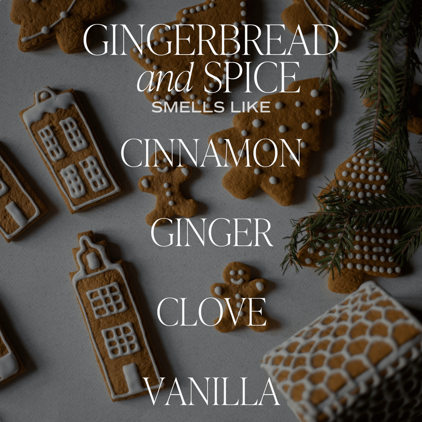 Bougie - GINGERBREAD & SPICE