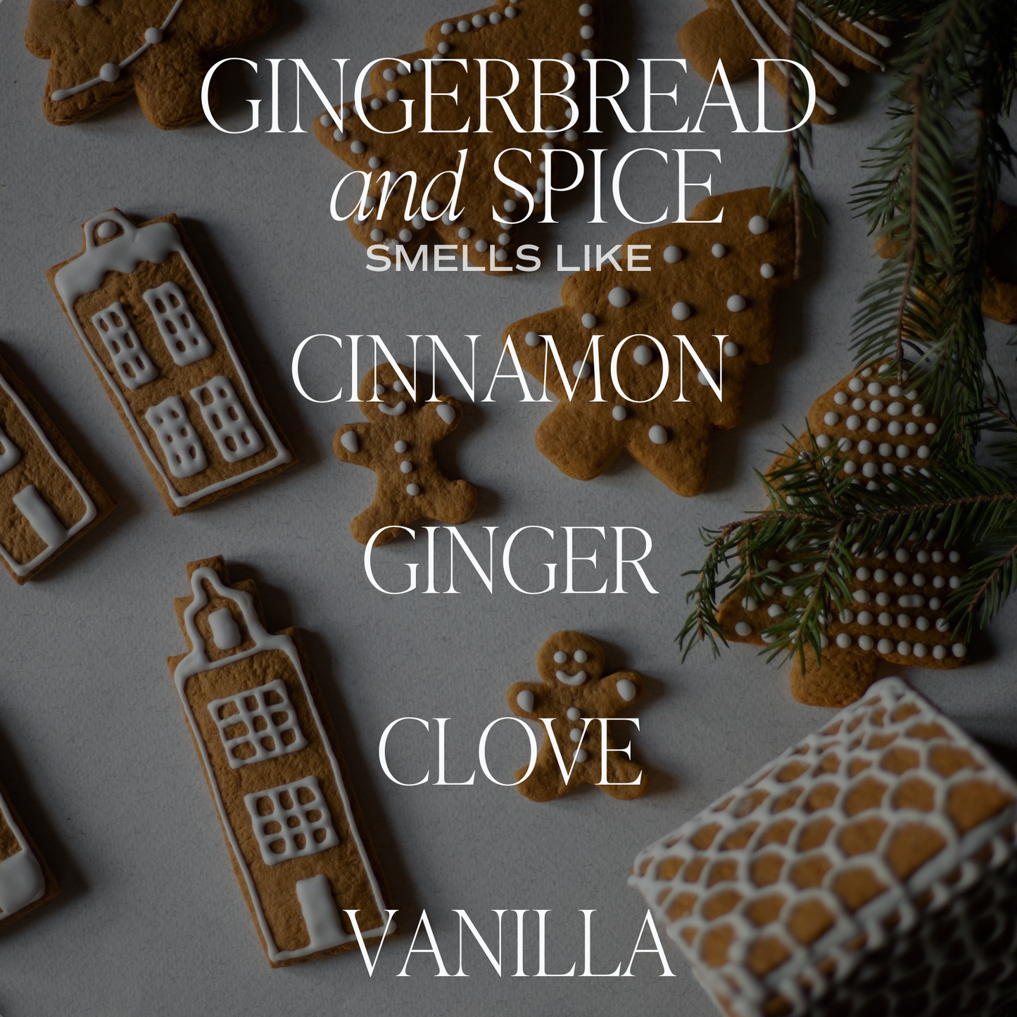 Bougie - GINGERBREAD AND SPICE