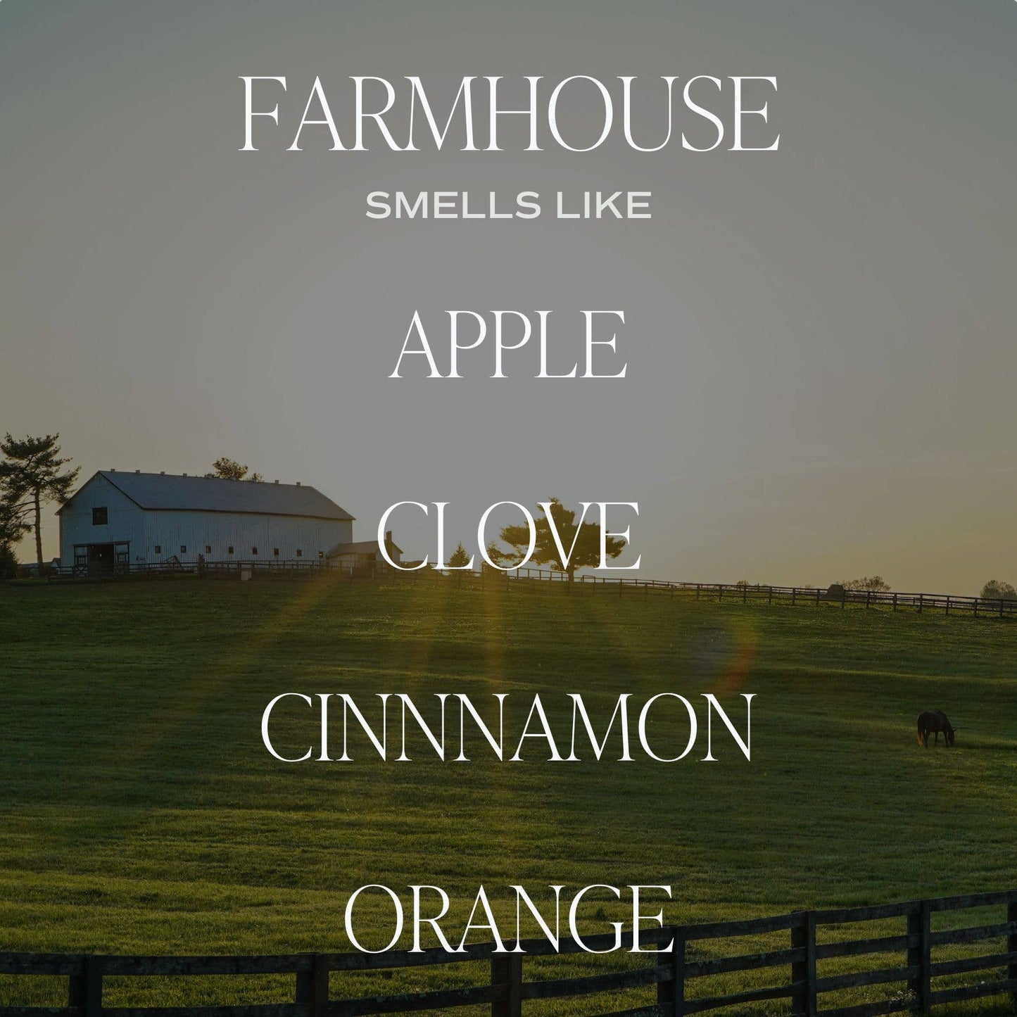 Bougie - FARMHOUSE